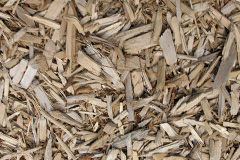 biomass boilers Orton Brimbles